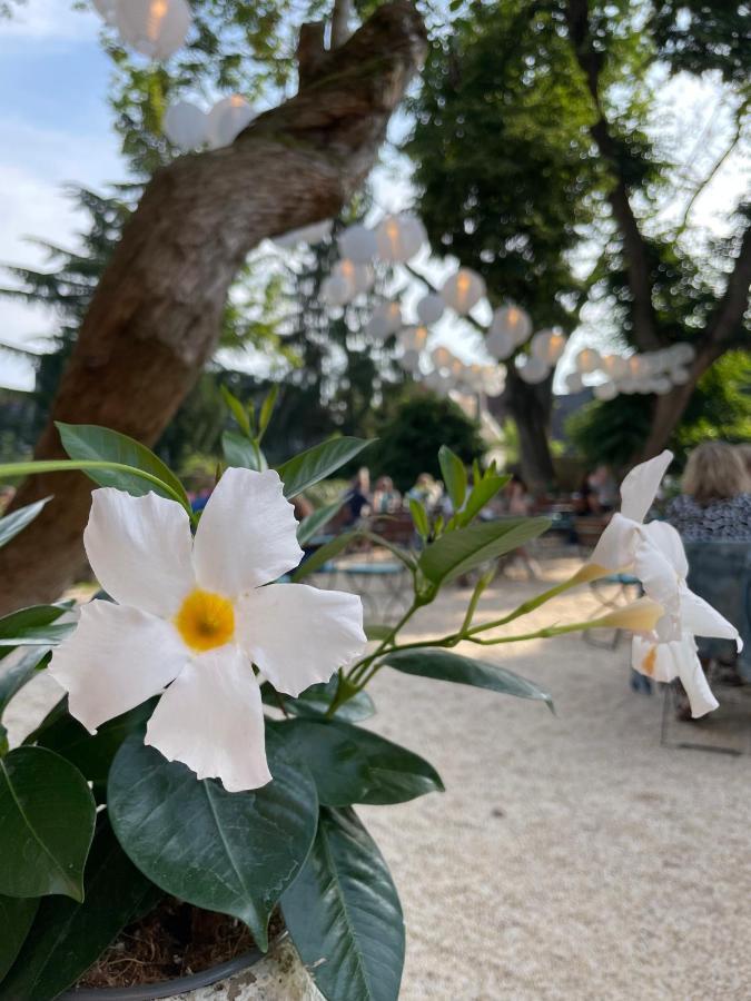 Weinhotel Koegler Eltville am Rhein Buitenkant foto